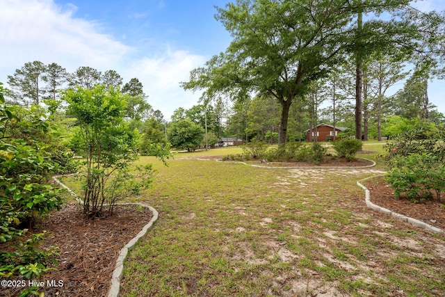 view of green lawn featuring view of wooded area