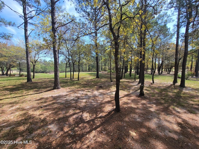 6618 Annesbrook Pl Unit 17, Ocean Isle Beach, NC 28469
