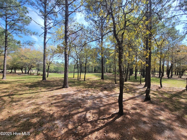 6618 Annesbrook Pl Unit 17, Ocean Isle Beach, NC 28469