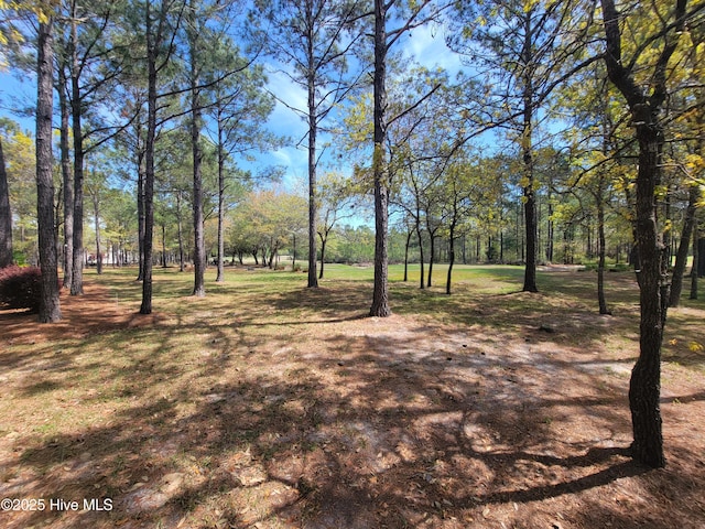 6618 Annesbrook Pl Unit 17, Ocean Isle Beach, NC 28469