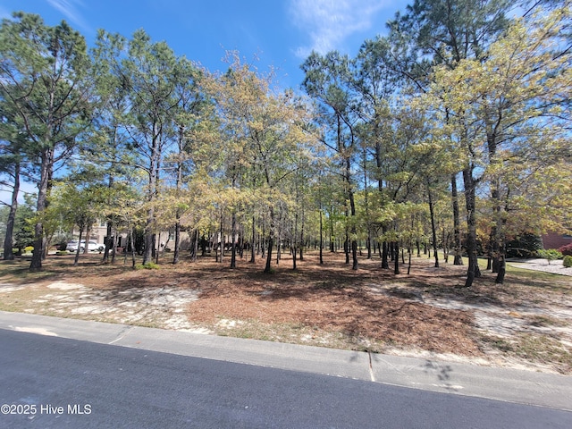 6618 Annesbrook Pl Unit 17, Ocean Isle Beach, NC 28469