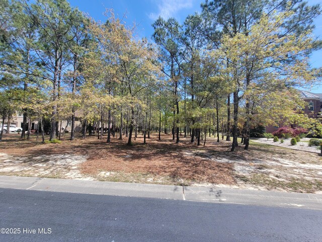 6618 Annesbrook Pl Unit 17, Ocean Isle Beach, NC 28469