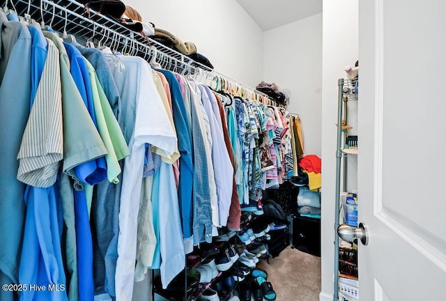 1807 St Patricks Ct SE Lot 267, Bolivia, NC 28422 - walk in closet with carpet