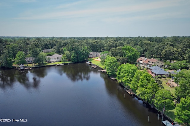 302 Plantation Dr, New Bern, NC 28562 - bird's eye view of a nearby body of water and a heavily wooded area