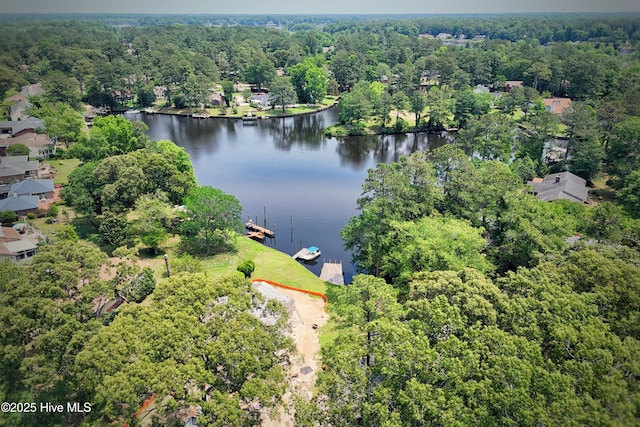 302 Plantation Dr, New Bern, NC 28562 - view of property location featuring a nearby body of water and a forest