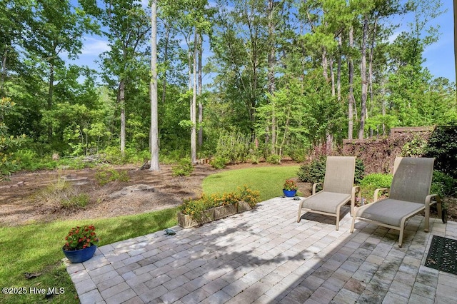 697 Jenoa Loop, Castle Hayne, NC 28429 - view of patio
