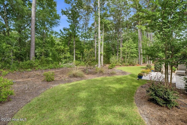 697 Jenoa Loop, Castle Hayne, NC 28429 - view of green lawn with a patio area