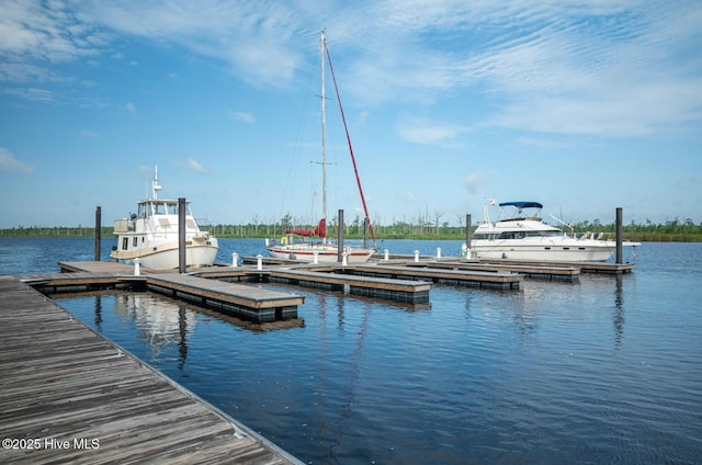 697 Jenoa Loop, Castle Hayne, NC 28429 - dock area featuring a water view