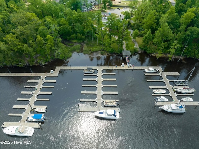 697 Jenoa Loop, Castle Hayne, NC 28429 - bird's eye view of a large body of water
