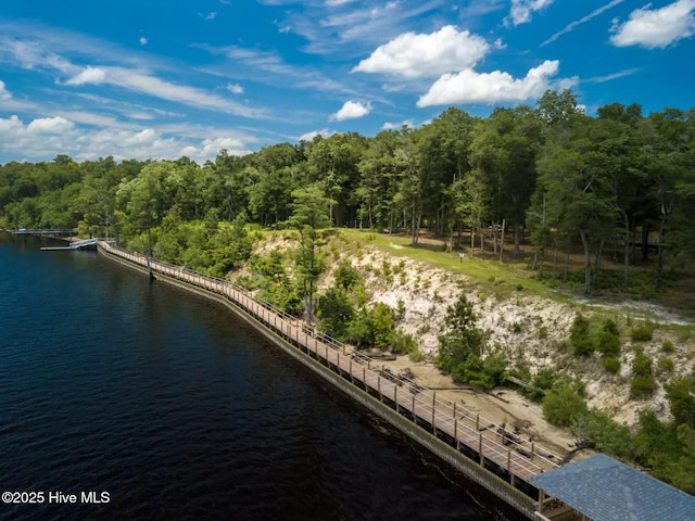 697 Jenoa Loop, Castle Hayne, NC 28429 - drone / aerial view of a nearby body of water and a heavily wooded area