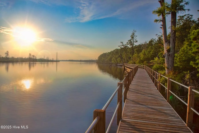 697 Jenoa Loop, Castle Hayne, NC 28429 - dock with a water view