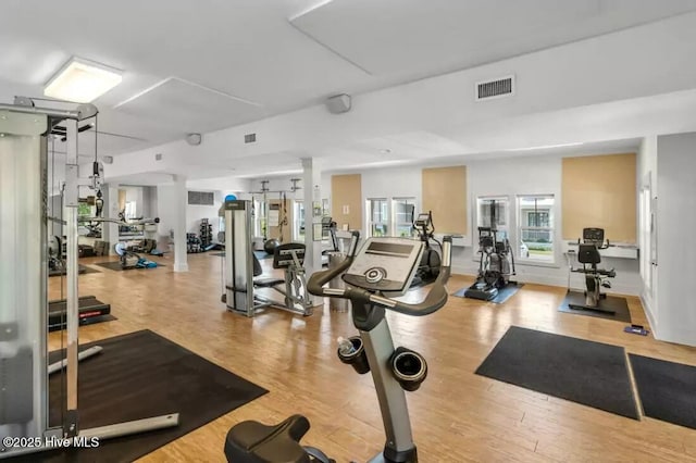 697 Jenoa Loop, Castle Hayne, NC 28429 - gym with wood finished floors