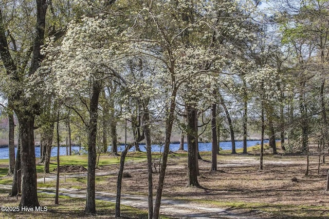 697 Jenoa Loop, Castle Hayne, NC 28429 - water view