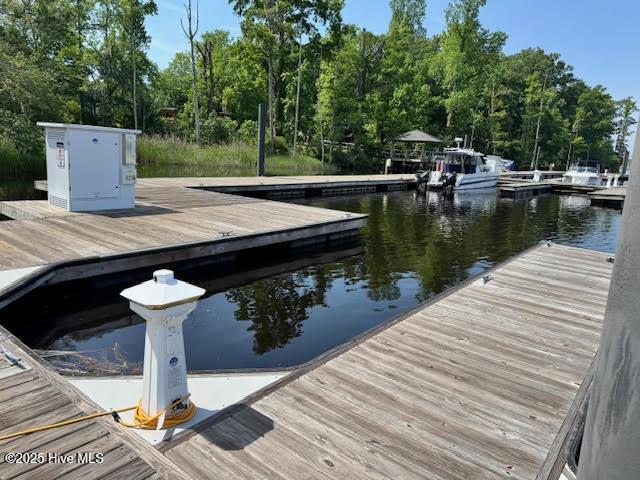 697 Jenoa Loop, Castle Hayne, NC 28429 - dock area featuring a water view