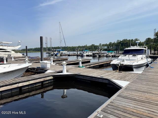 697 Jenoa Loop, Castle Hayne, NC 28429 - dock featuring a water view