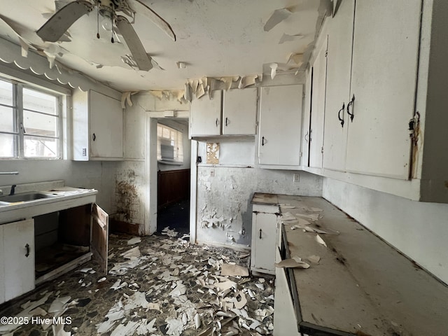 144 Shannonhouse Rd, Edenton, NC 27932 - kitchen featuring white cabinetry, a sink, and ceiling fan
