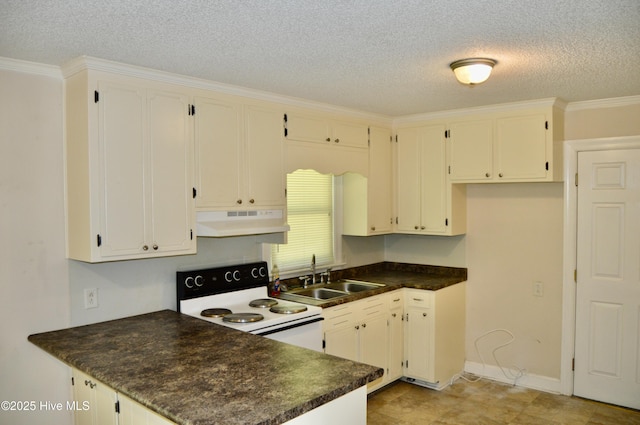2692 Mt Herman Church Rd, Snow Hill, NC 28580 - kitchen featuring electric range, under cabinet range hood, a sink, a textured ceiling, and a peninsula