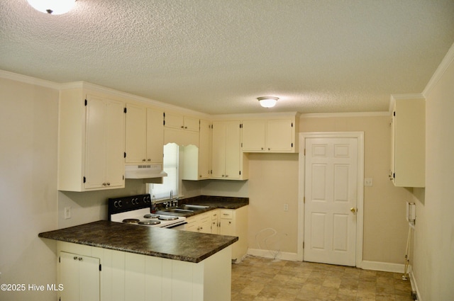 2692 Mt Herman Church Rd, Snow Hill, NC 28580 - kitchen with white range with electric cooktop, under cabinet range hood, a sink, a peninsula, and dark countertops