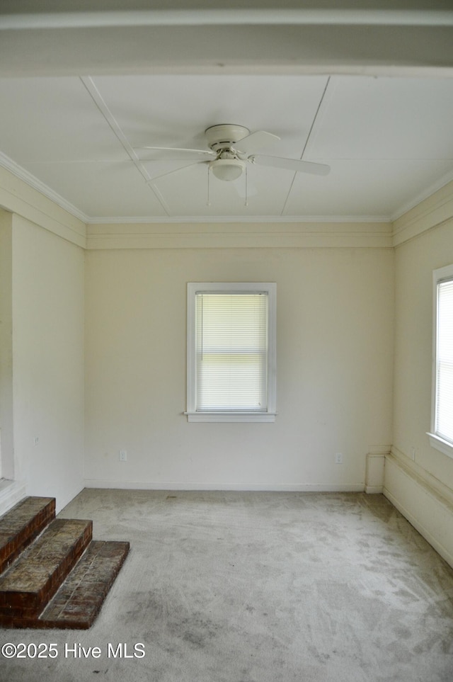 2692 Mt Herman Church Rd, Snow Hill, NC 28580 - unfurnished room with carpet floors, a ceiling fan, crown molding, and baseboards