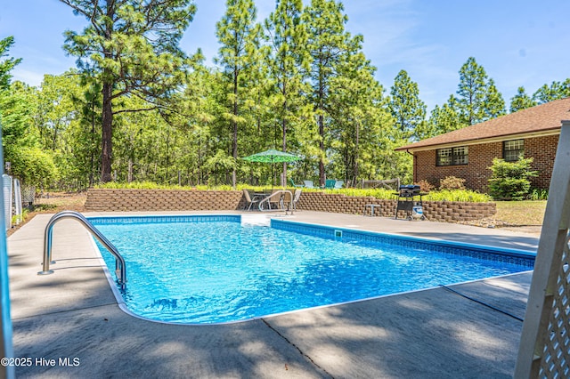118 Lancashire Ln, West End, NC 27376 - view of pool featuring a patio area and a grill