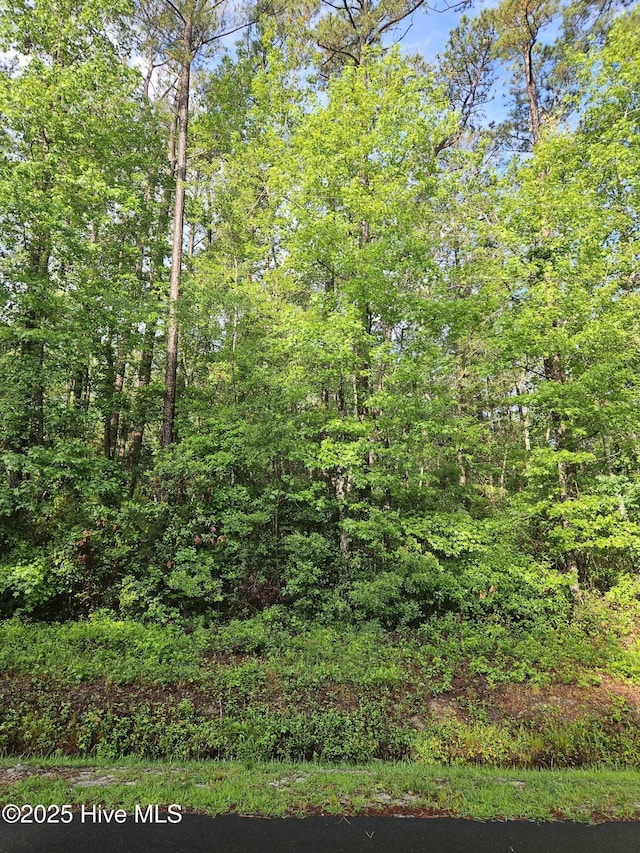 14 Myrtlewood Dr SW Unit 24, Calabash, NC 28467