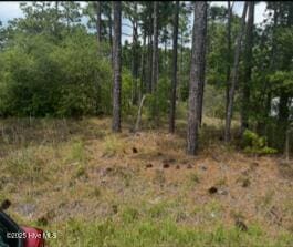 0 N Greensboro Rd, Boiling Spring Lakes, NC 28461