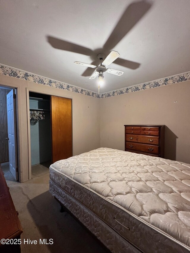 6748 Pitt St, Grifton, NC 28530 - bedroom featuring a closet, carpet floors, and a ceiling fan