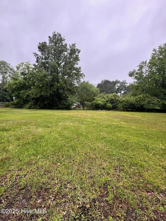 6748 Pitt St, Grifton, NC 28530 - view of yard