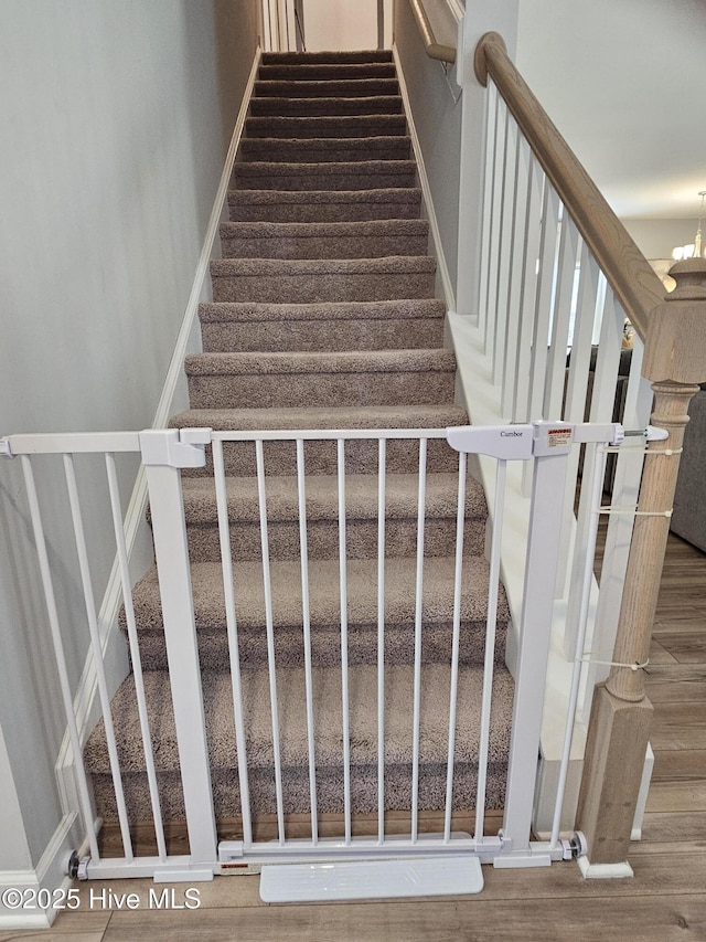 568 Transom Way, Sneads Ferry, NC 28460 - stairs featuring wood finished floors
