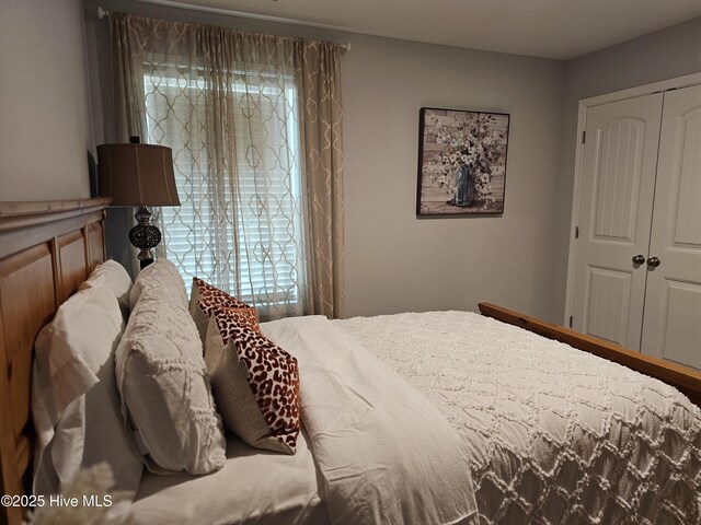 568 Transom Way, Sneads Ferry, NC 28460 - bedroom with a closet