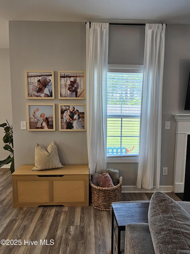 568 Transom Way, Sneads Ferry, NC 28460 - living area featuring wood finished floors and a fireplace