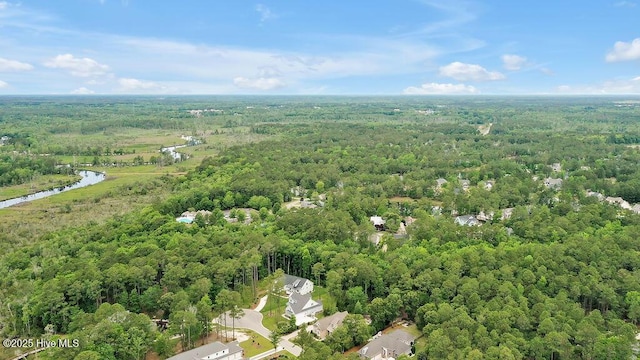 886 Hollybriar Dr SE, Bolivia, NC 28422 - bird's eye view of a forest