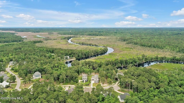 886 Hollybriar Dr SE, Bolivia, NC 28422 - aerial view of property and surrounding area with a forest and a large body of water