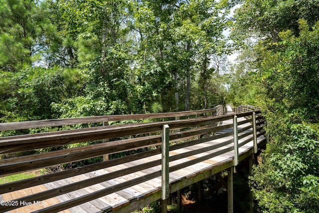 886 Hollybriar Dr SE, Bolivia, NC 28422 - view of surrounding community