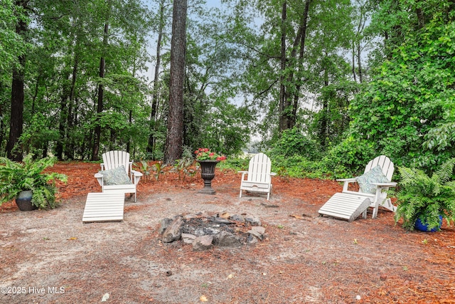 view of yard featuring a fire pit