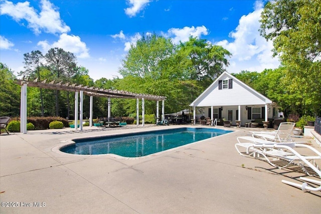 342 Shirley Plantation Dr, Snow Hill, NC 28580 - swimming pool featuring a pergola and a patio