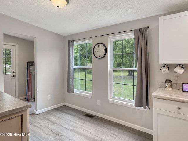 70 Little Pond Rd, Rocky Point, NC 28457 - dining space with healthy amount of natural light, light wood-type flooring, a textured ceiling, and baseboards