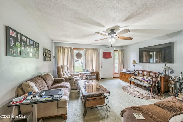525 Edwards Rd, Jacksonville, NC 28540 - living area with ceiling fan, carpet floors, and a textured ceiling