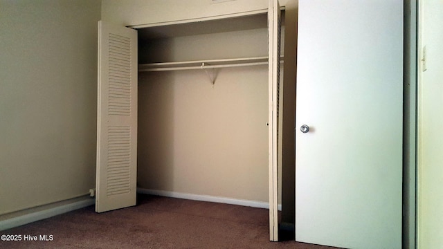 500 Umstead Dr Unit 304C, Chapel Hill, NC 27516 - view of closet