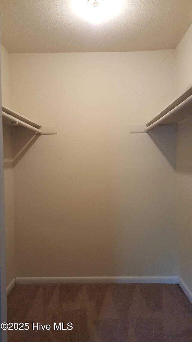 500 Umstead Dr Unit 304C, Chapel Hill, NC 27516 - spacious closet featuring carpet