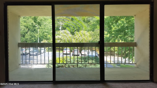500 Umstead Dr Unit 304C, Chapel Hill, NC 27516 - doorway to outside featuring healthy amount of natural light