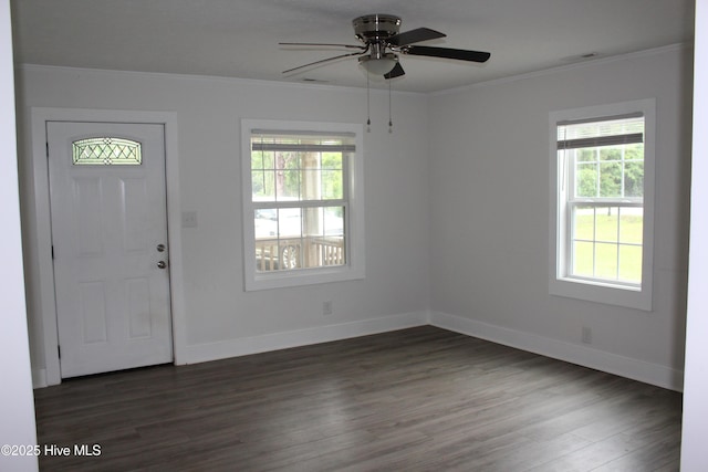 entryway with ornamental molding, healthy amount of natural light, ceiling fan, and dark wood-style floors