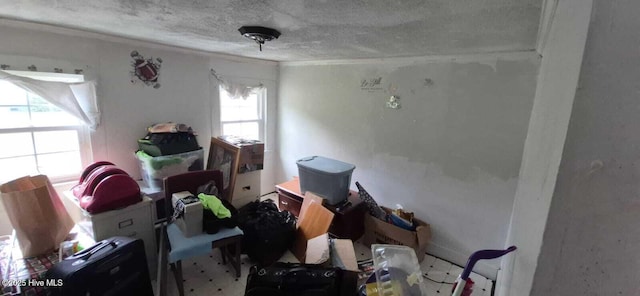 miscellaneous room featuring a textured ceiling and ornamental molding