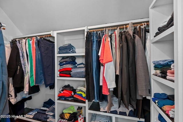view of walk in closet