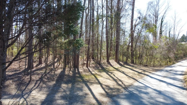 83-A Teachs Point Rd, Bath, NC 27808