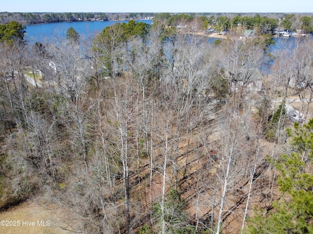 83-A Teachs Point Rd, Bath, NC 27808