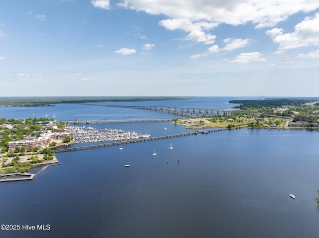water view featuring a notable bridge