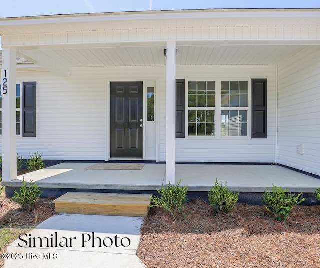 128 Buckskin Dr, Pollocksville, NC 28573 - property entrance featuring covered porch