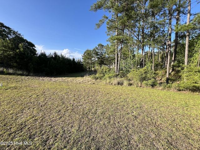 564 Lindgrove Pl SW Unit 44, Ocean Isle Beach, NC 28469