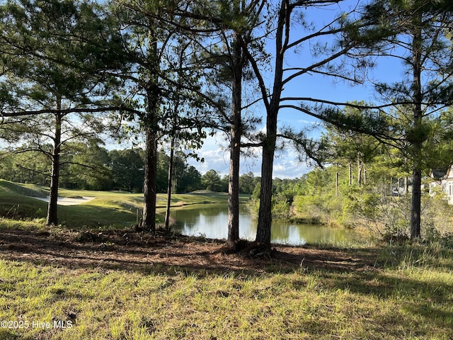564 Lindgrove Pl SW Unit 44, Ocean Isle Beach, NC 28469